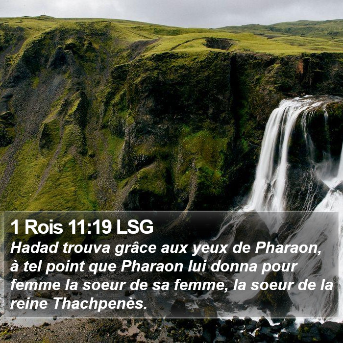 1 Rois 11:19 LSG Bible Study