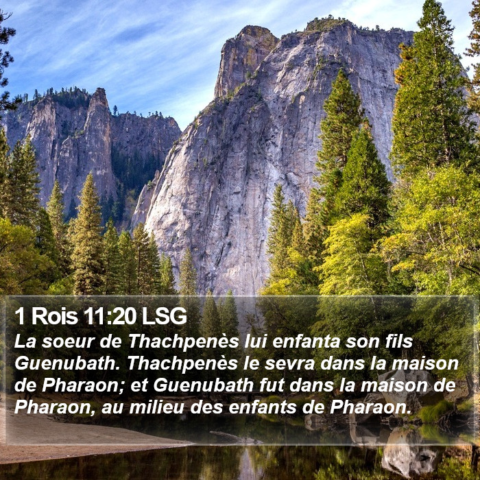 1 Rois 11:20 LSG Bible Study