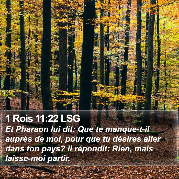 1 Rois 11:22 LSG Bible Study