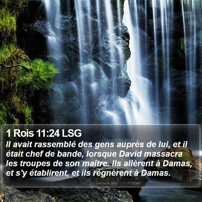 1 Rois 11:24 LSG Bible Study