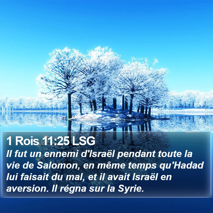 1 Rois 11:25 LSG Bible Study