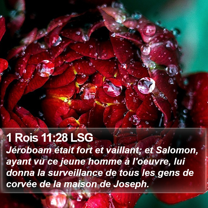 1 Rois 11:28 LSG Bible Study