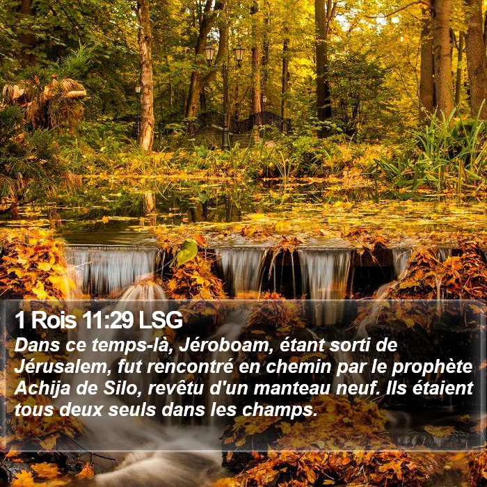 1 Rois 11:29 LSG Bible Study