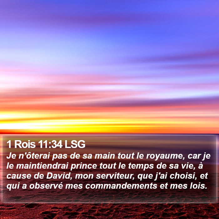 1 Rois 11:34 LSG Bible Study