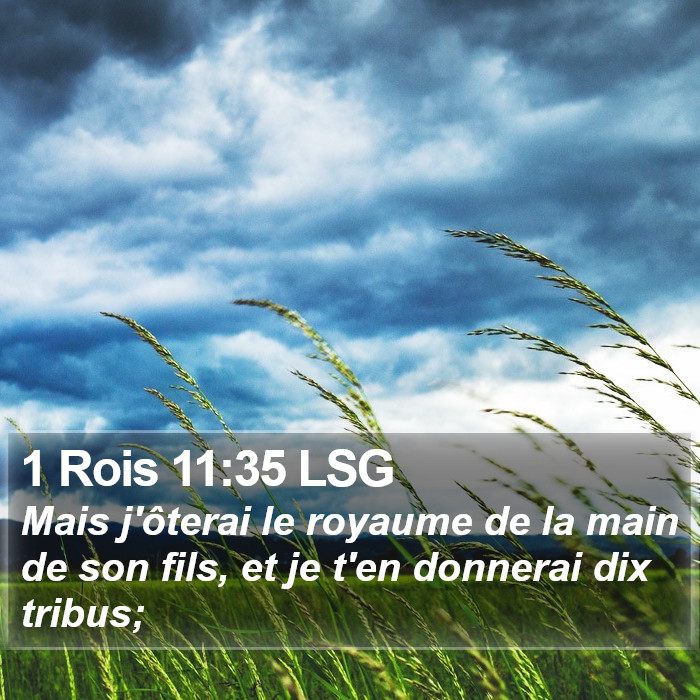 1 Rois 11:35 LSG Bible Study