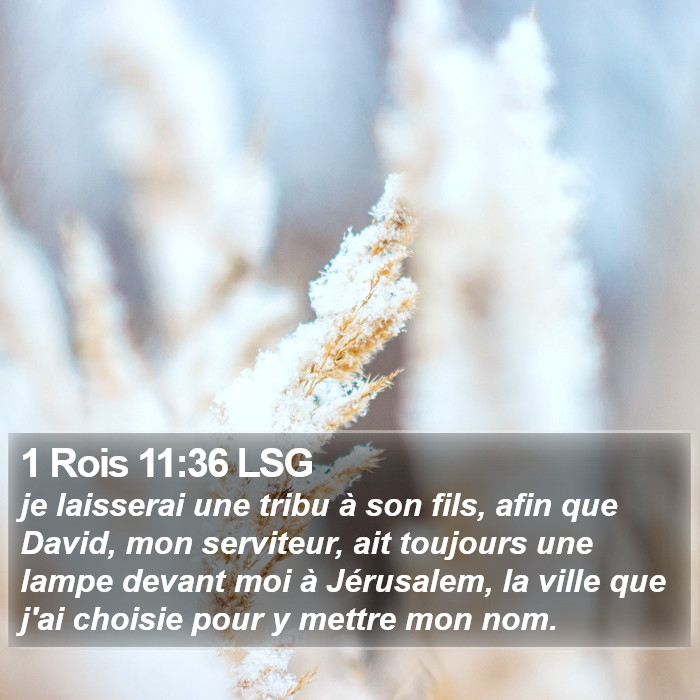 1 Rois 11:36 LSG Bible Study