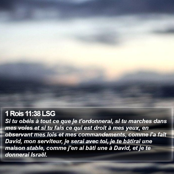 1 Rois 11:38 LSG Bible Study