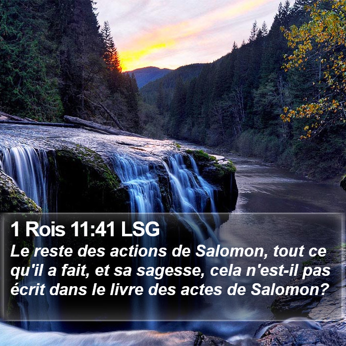 1 Rois 11:41 LSG Bible Study