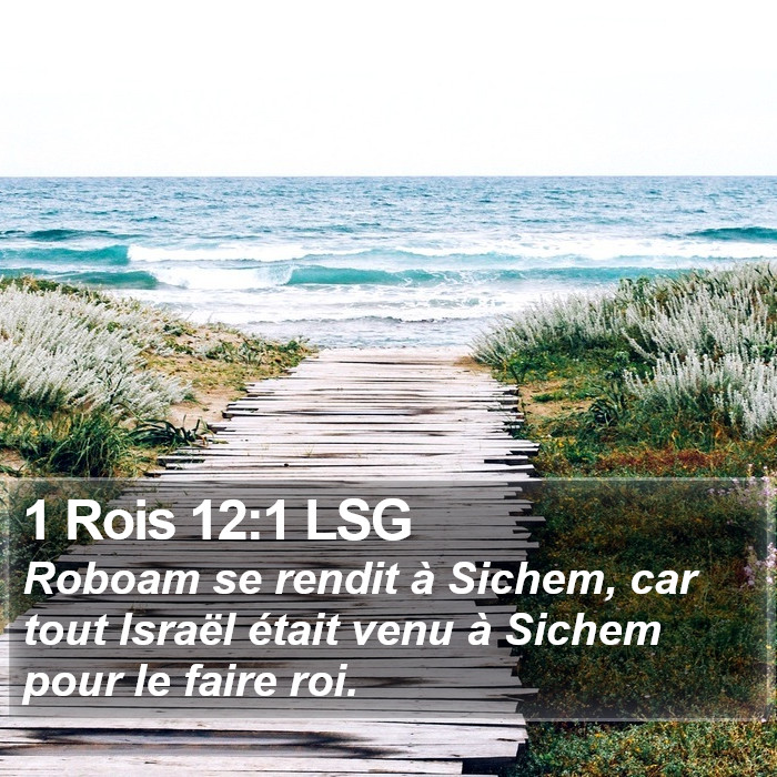 1 Rois 12:1 LSG Bible Study