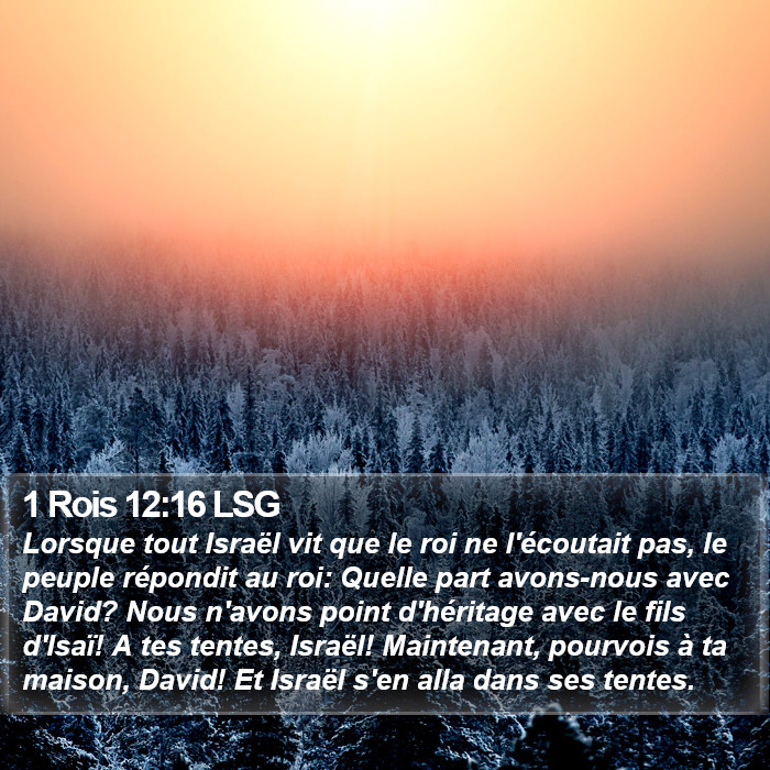 1 Rois 12:16 LSG Bible Study