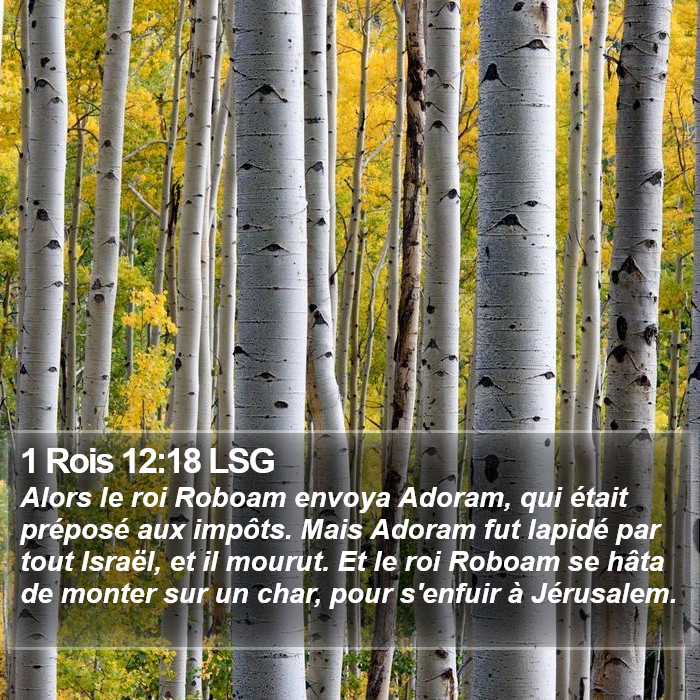 1 Rois 12:18 LSG Bible Study