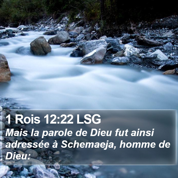 1 Rois 12:22 LSG Bible Study