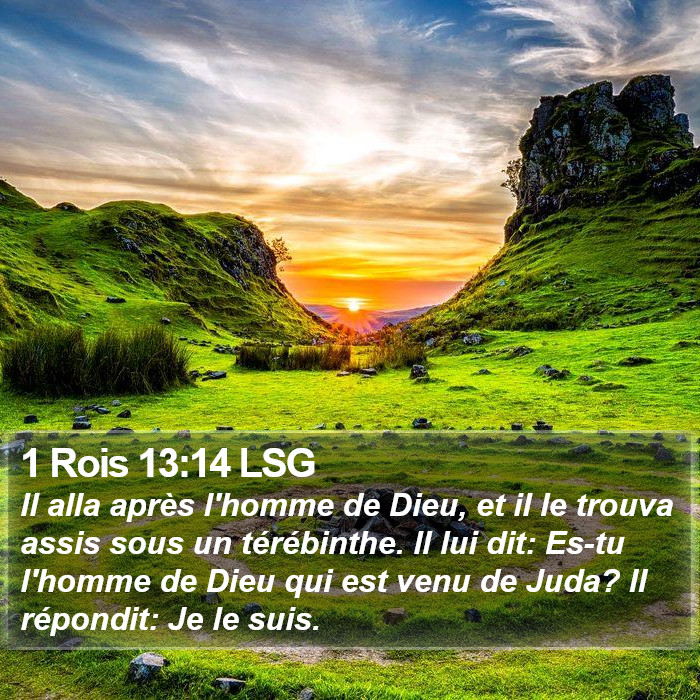 1 Rois 13:14 LSG Bible Study