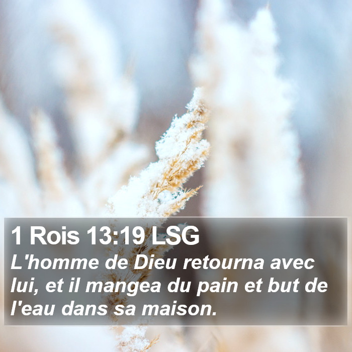 1 Rois 13:19 LSG Bible Study