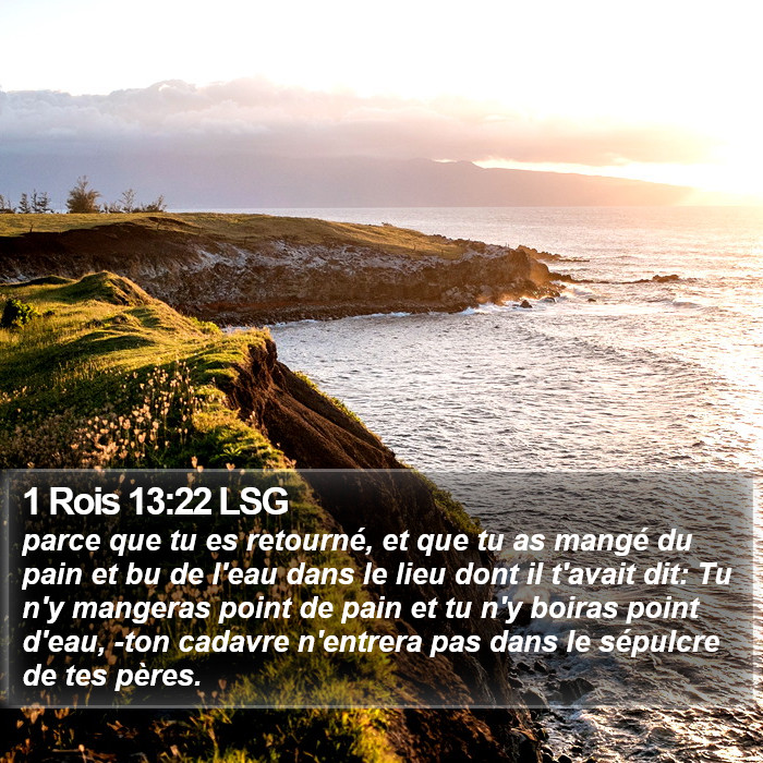 1 Rois 13:22 LSG Bible Study