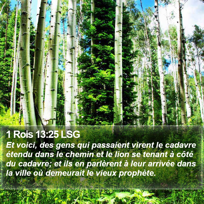 1 Rois 13:25 LSG Bible Study