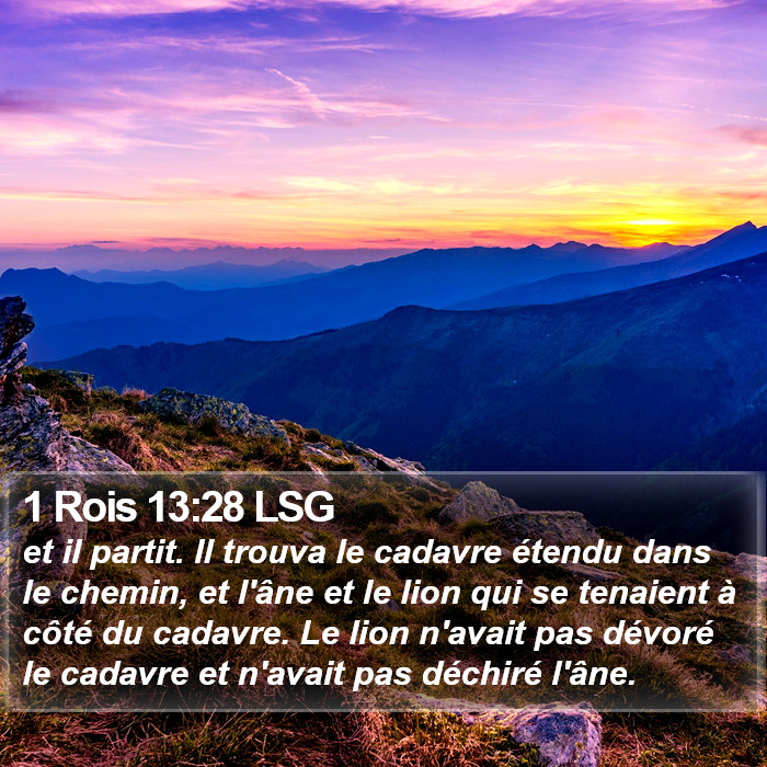 1 Rois 13:28 LSG Bible Study