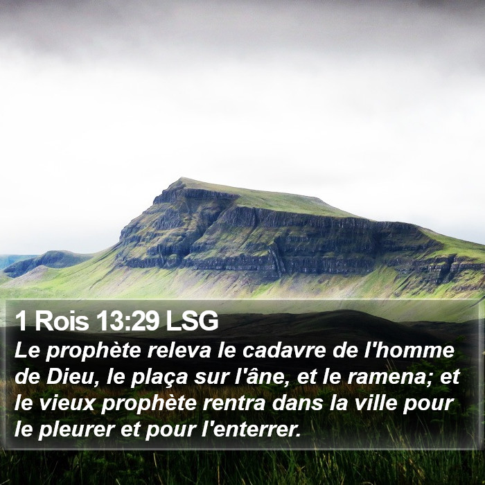 1 Rois 13:29 LSG Bible Study