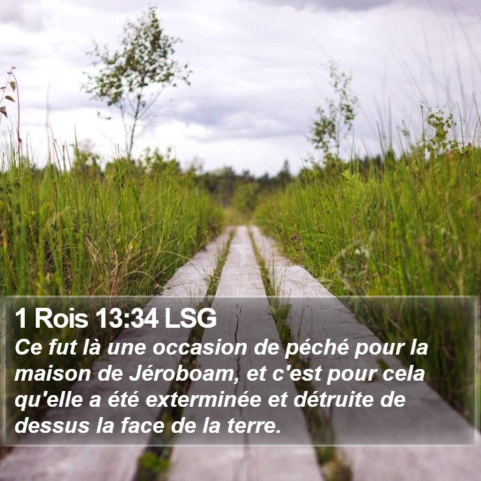 1 Rois 13:34 LSG Bible Study