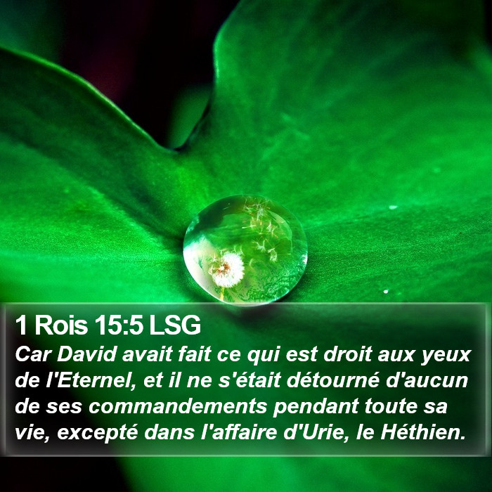 1 Rois 15:5 LSG Bible Study