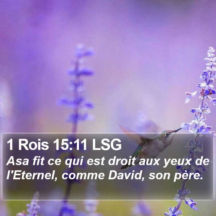 1 Rois 15:11 LSG Bible Study