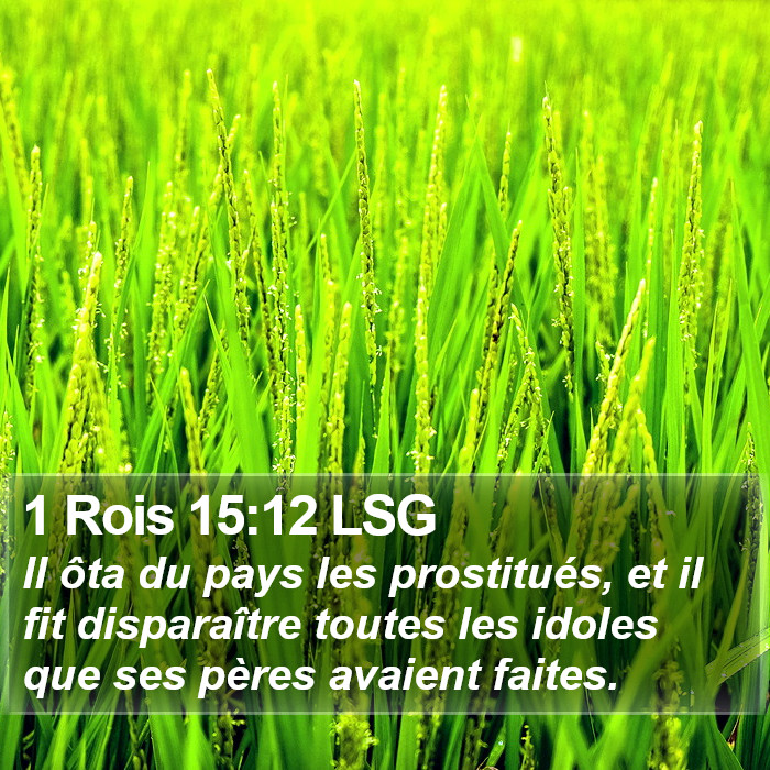 1 Rois 15:12 LSG Bible Study