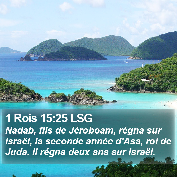 1 Rois 15:25 LSG Bible Study