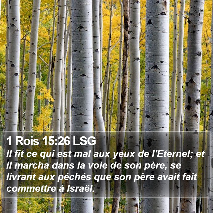 1 Rois 15:26 LSG Bible Study