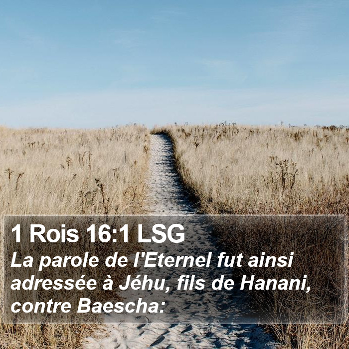1 Rois 16:1 LSG Bible Study