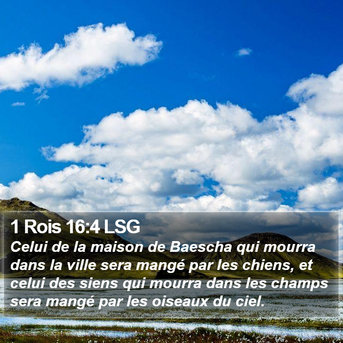 1 Rois 16:4 LSG Bible Study