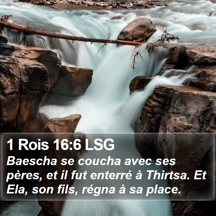 1 Rois 16:6 LSG Bible Study