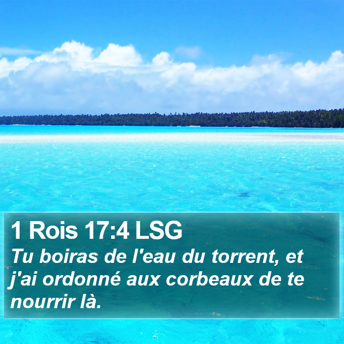 1 Rois 17:4 LSG Bible Study