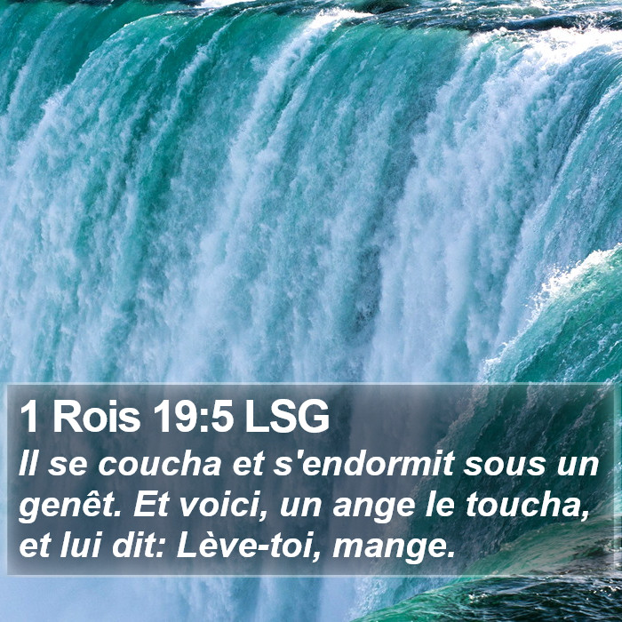 1 Rois 19:5 LSG Bible Study
