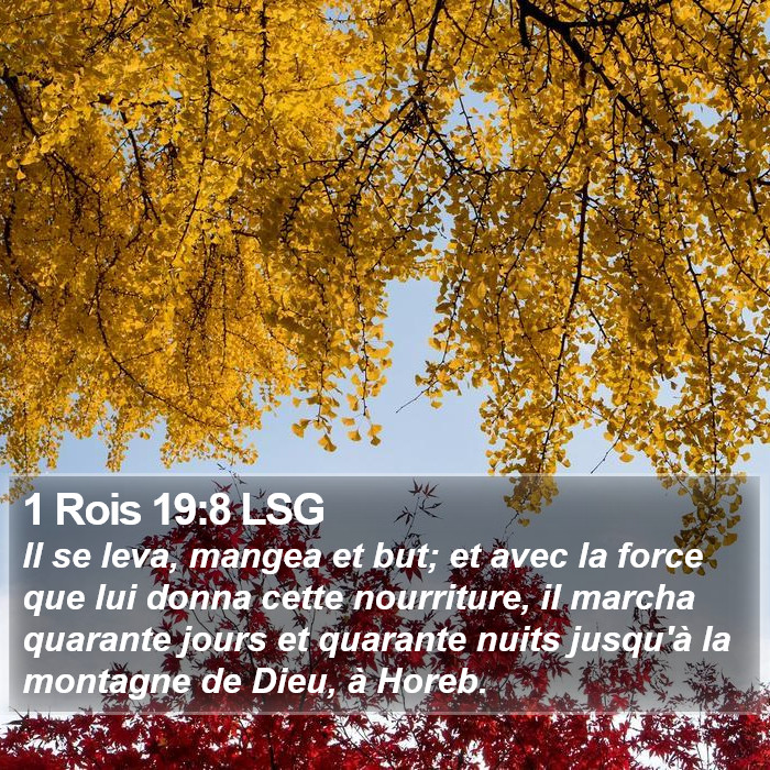 1 Rois 19:8 LSG Bible Study