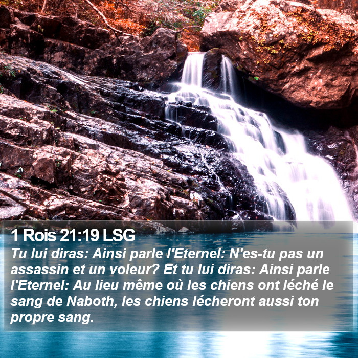 1 Rois 21:19 LSG Bible Study