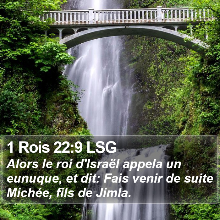 1 Rois 22:9 LSG Bible Study