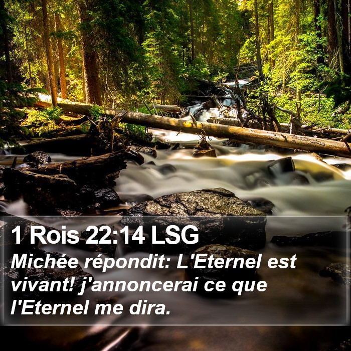 1 Rois 22:14 LSG Bible Study