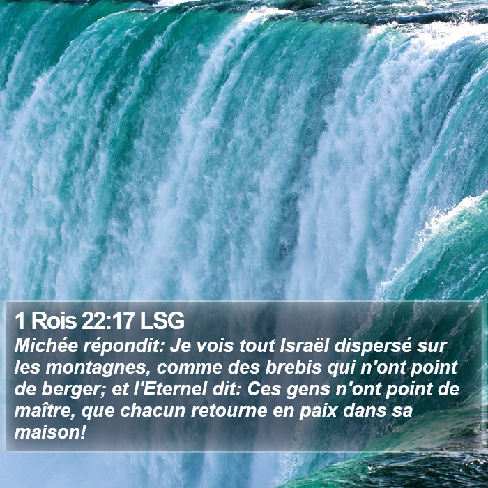 1 Rois 22:17 LSG Bible Study