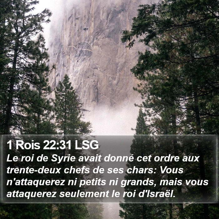 1 Rois 22:31 LSG Bible Study