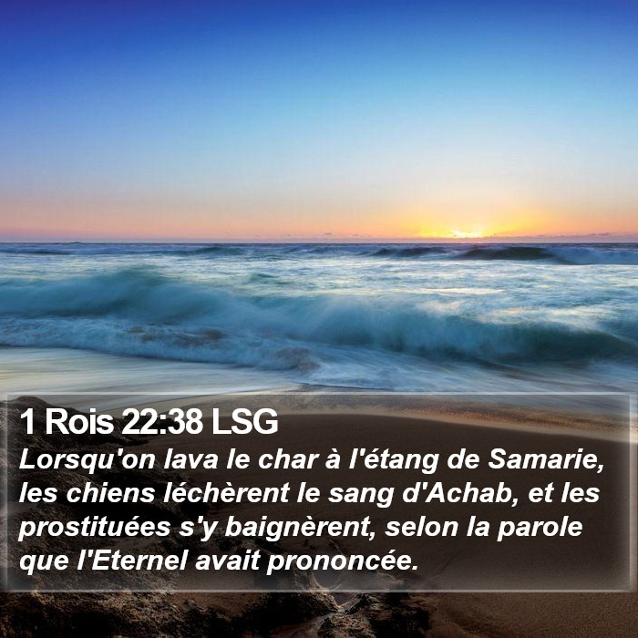 1 Rois 22:38 LSG Bible Study