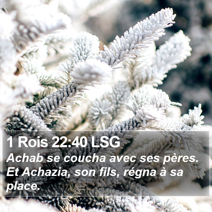 1 Rois 22:40 LSG Bible Study