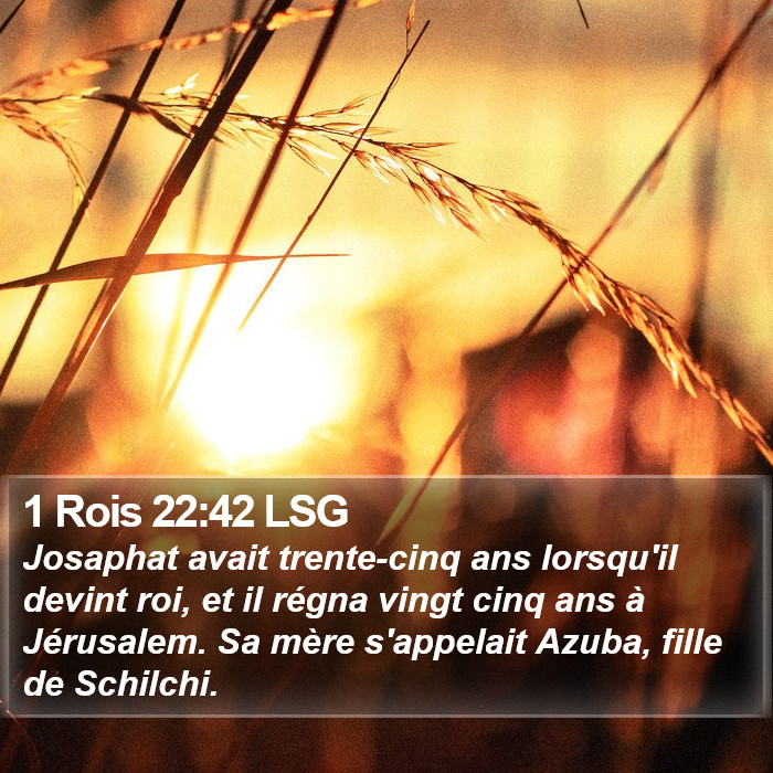 1 Rois 22:42 LSG Bible Study