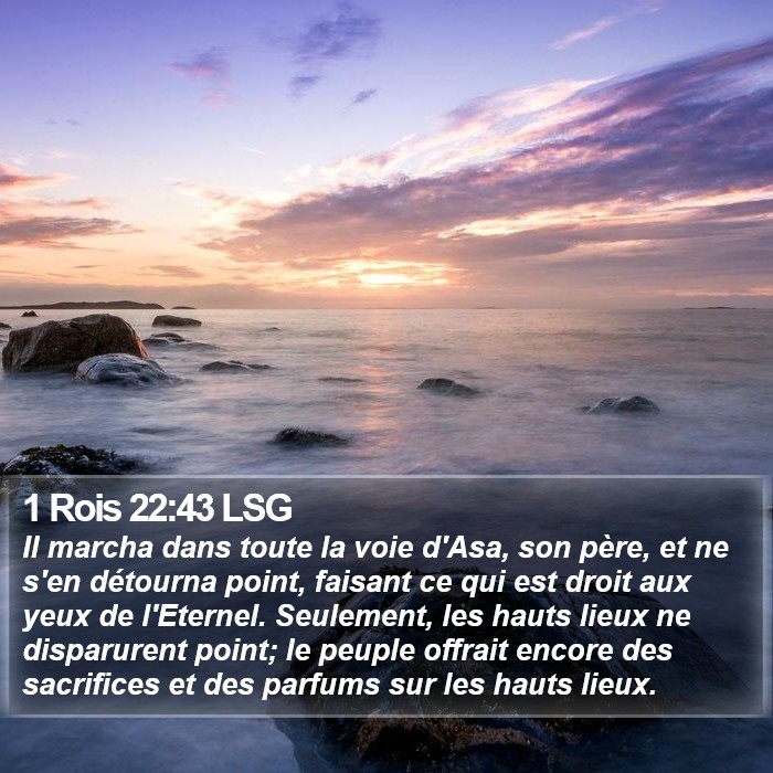 1 Rois 22:43 LSG Bible Study