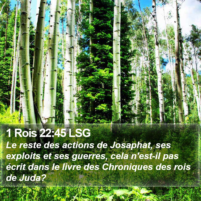 1 Rois 22:45 LSG Bible Study