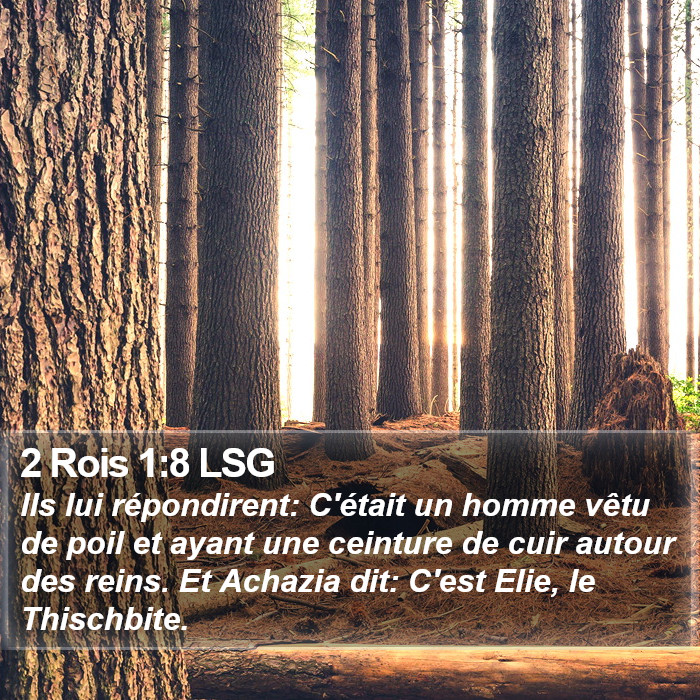 2 Rois 1:8 LSG Bible Study