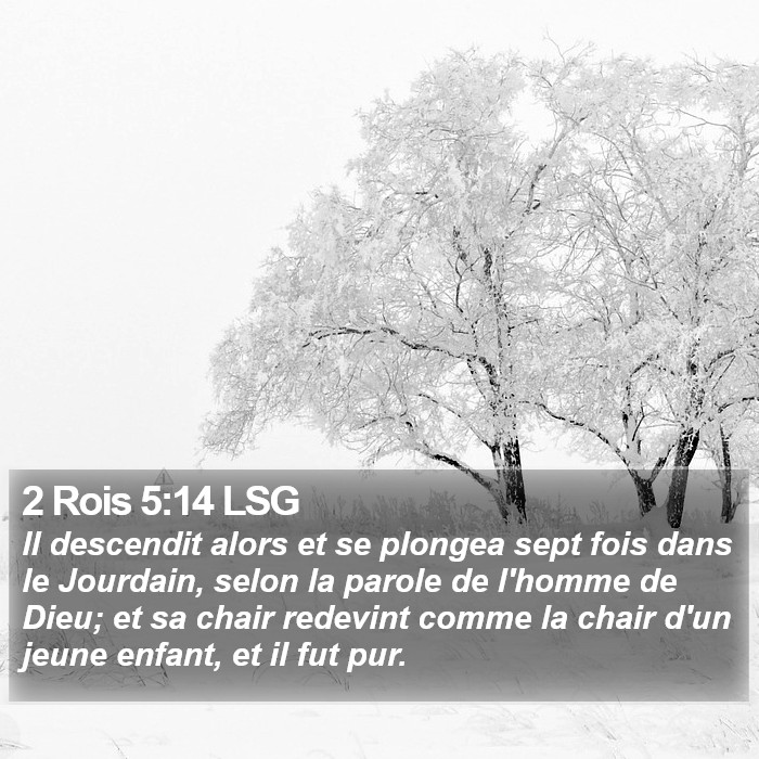 2 Rois 5:14 LSG Bible Study