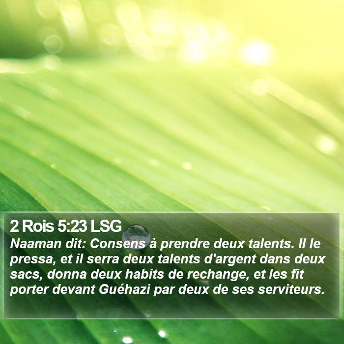 2 Rois 5:23 LSG Bible Study