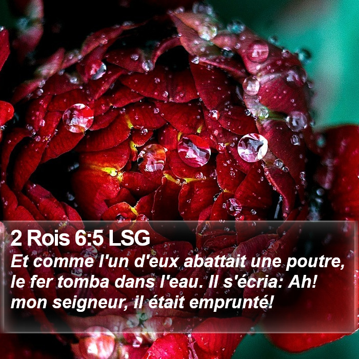 2 Rois 6:5 LSG Bible Study