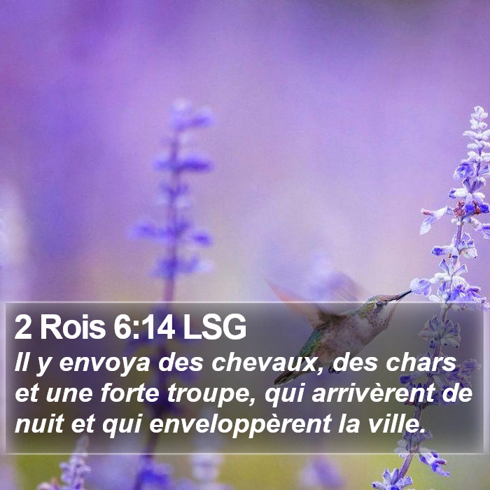 2 Rois 6:14 LSG Bible Study