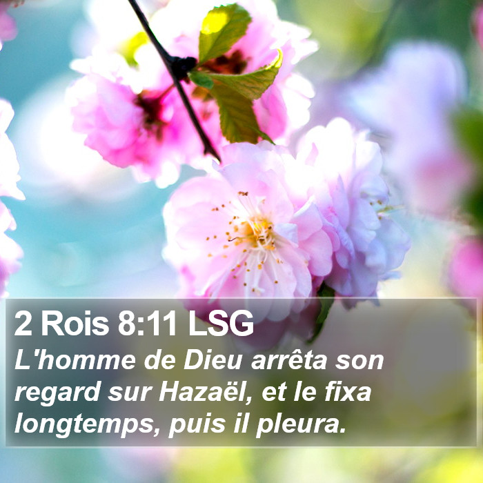 2 Rois 8:11 LSG Bible Study